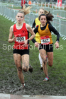Senior girls 2019 New Balance English Schools Cross Country Champs, Temple Newsam, Leeds. Photo:  David T. Hewitson/Sports for All Pics
